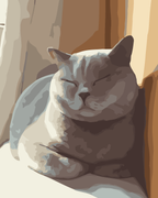 Sleeping British Shorthair