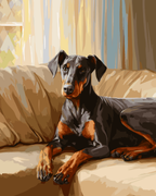 Cozy Doberman