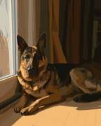 German Shepherd Shadows