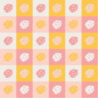 Monstera Medley Mini Kit