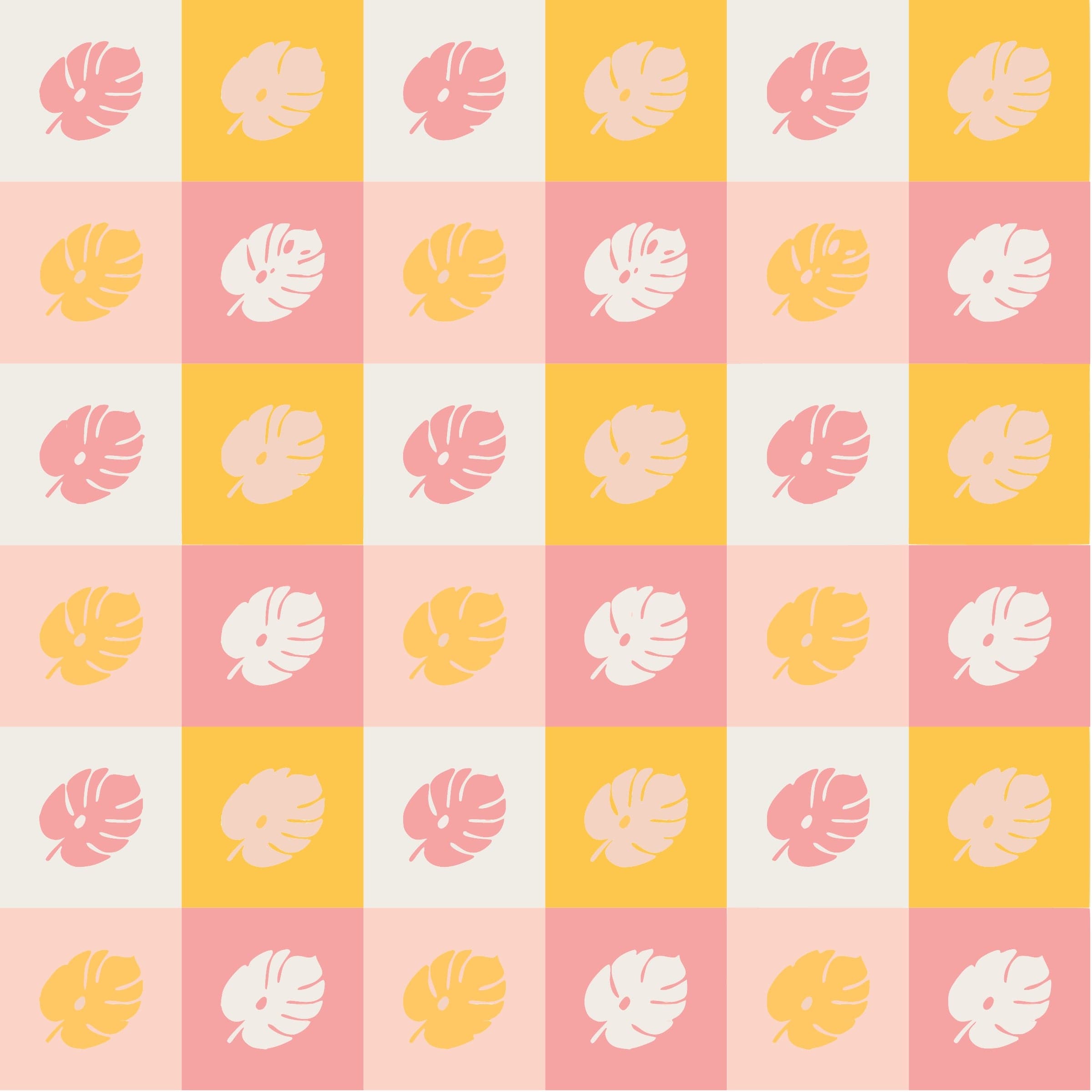 Monstera Medley Mini Kit