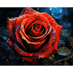 Realistic Rose Evening