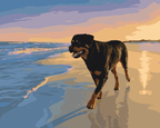 Rottweiler Beach