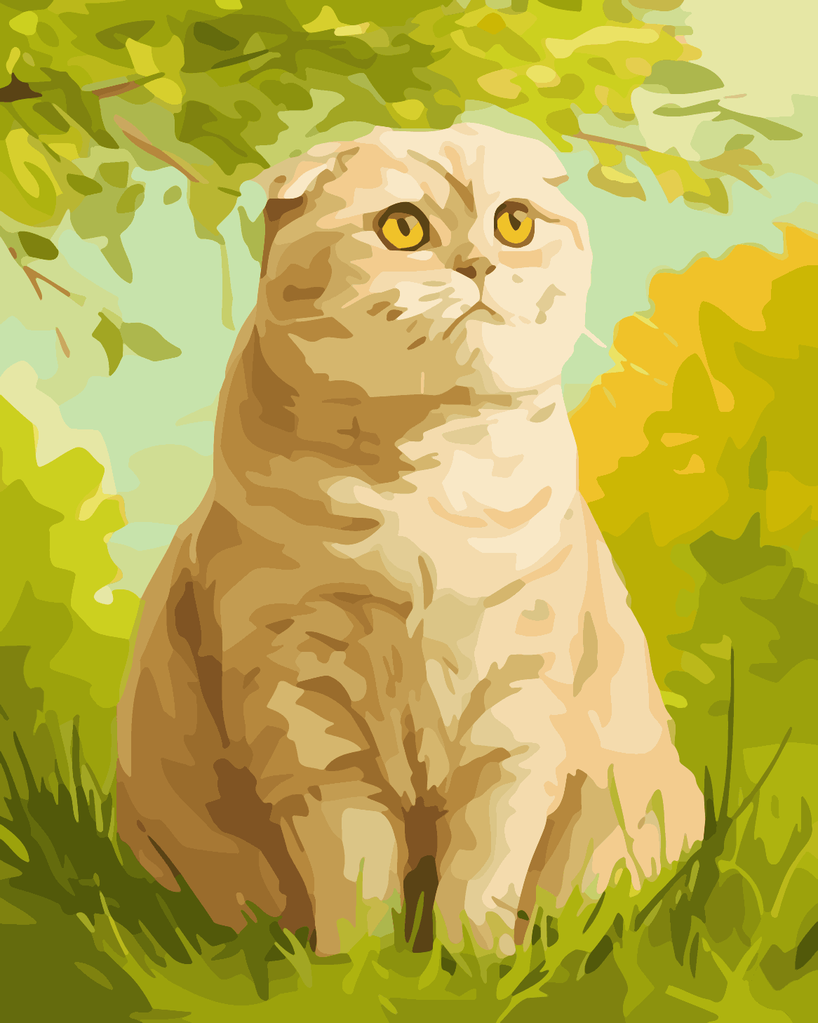 Scottish Fold Garden