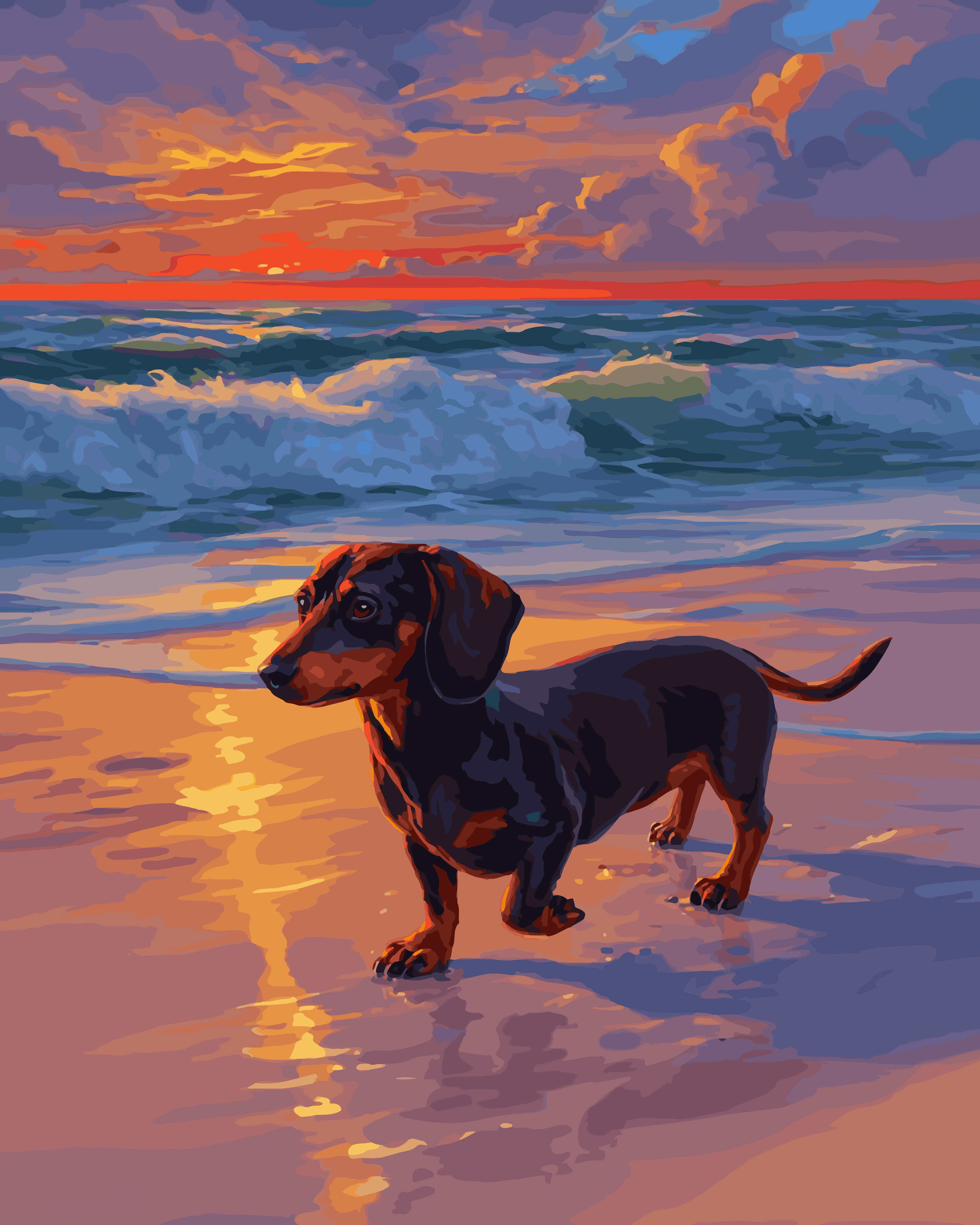 Sunset Dachshund