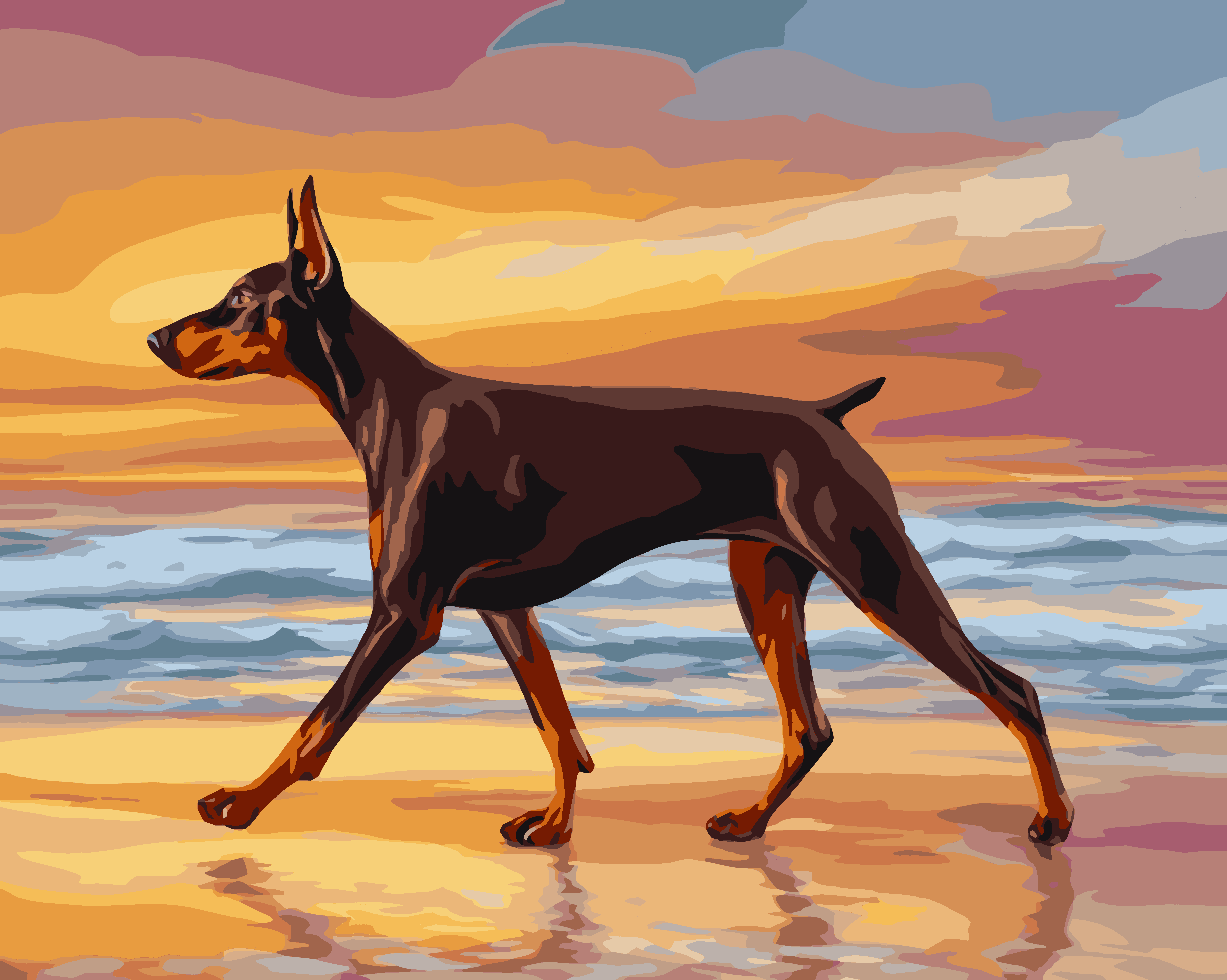Sunset Doberman
