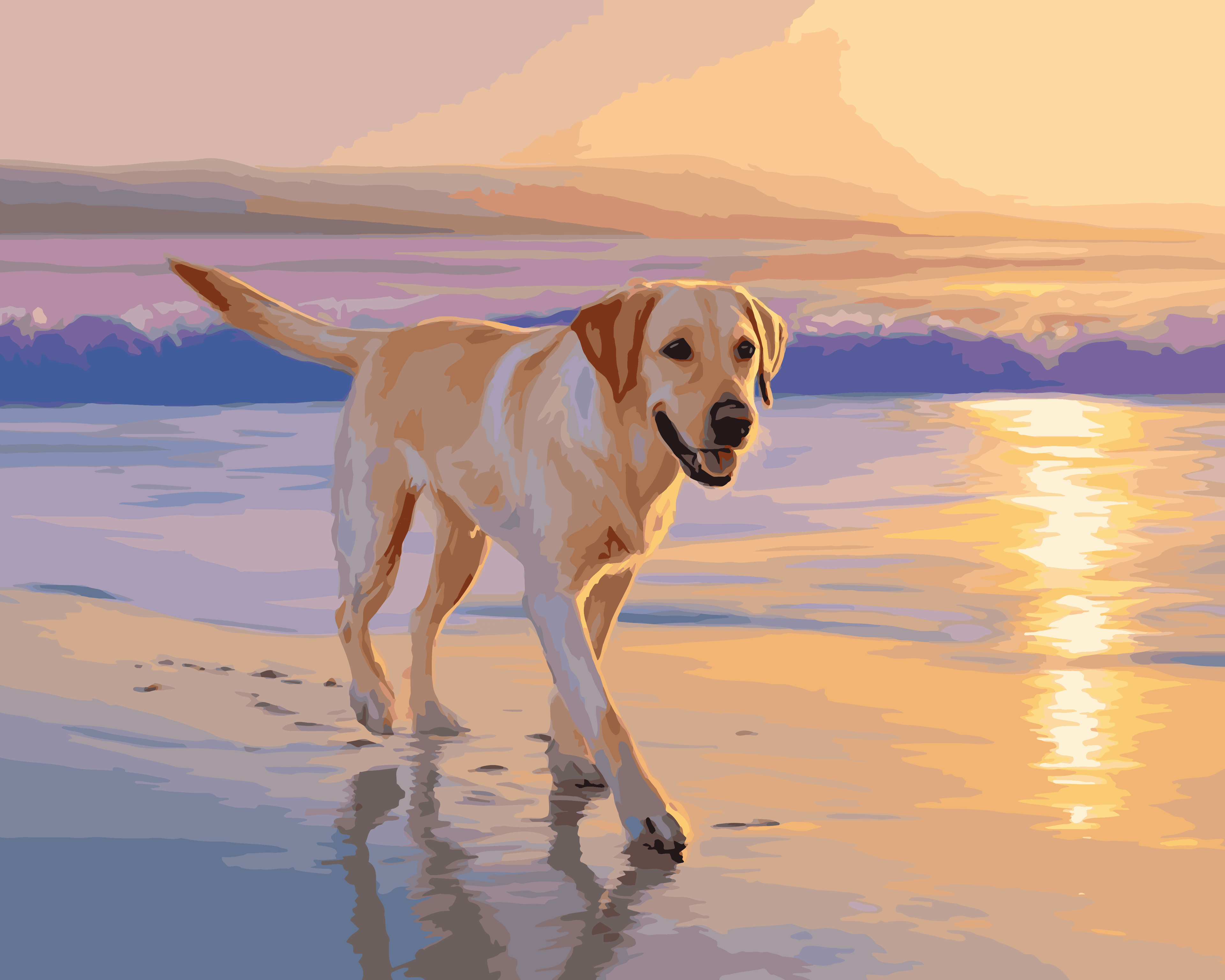 Labrador Beach Stroll