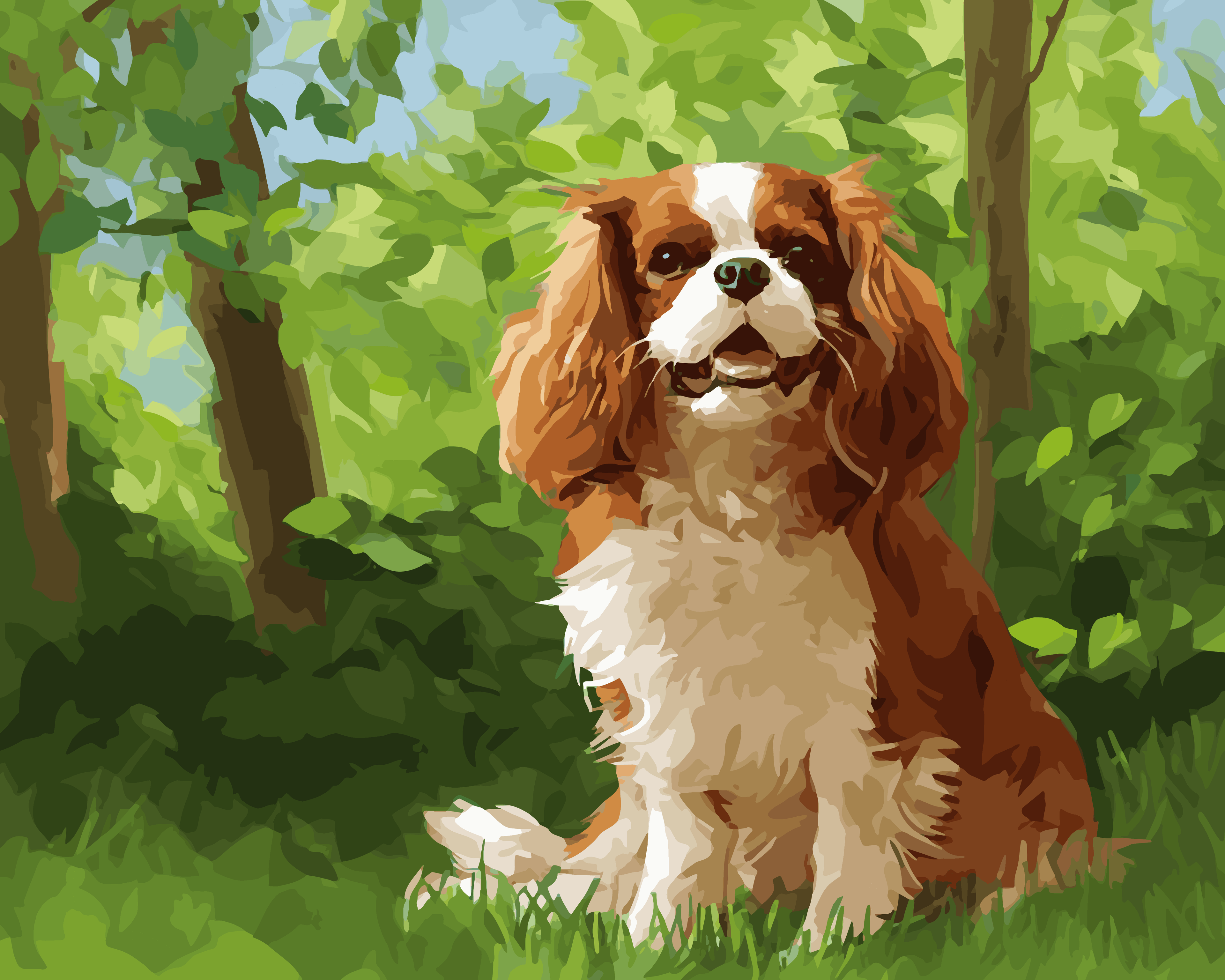 Cavalier King Forest