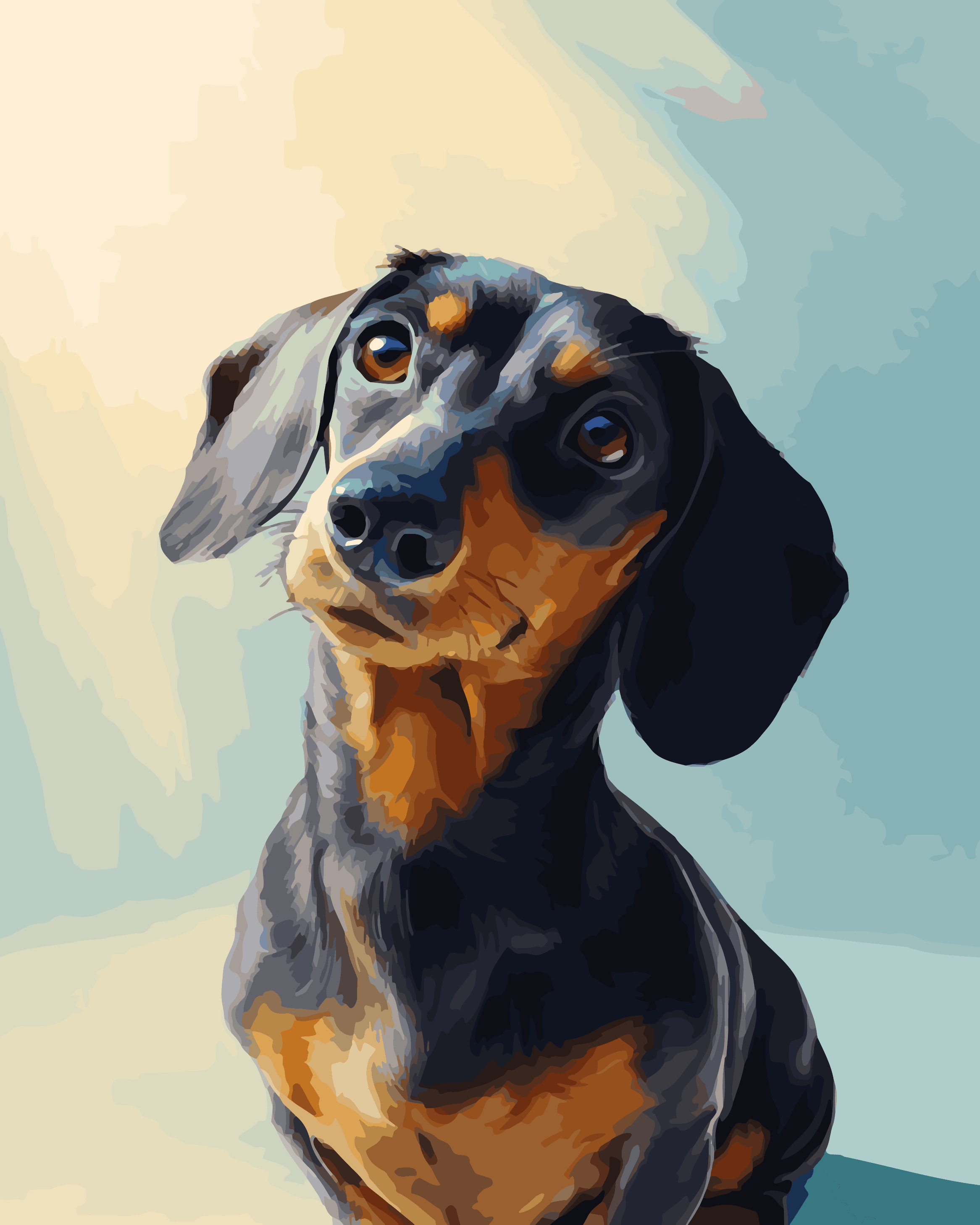 Dachshund Studio Portrait